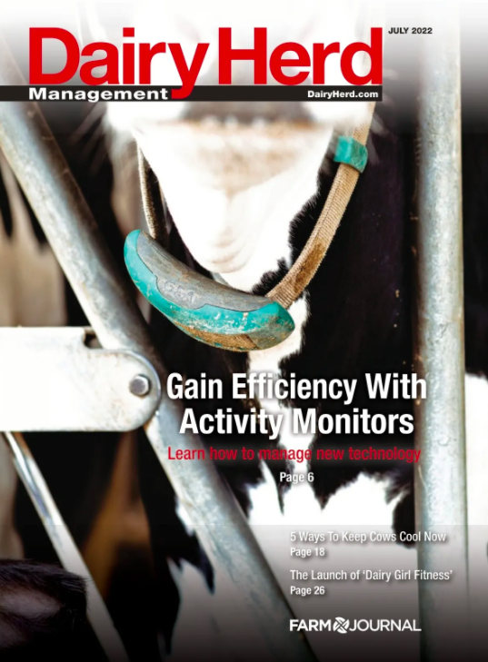 Issue Archive Dairy Herd